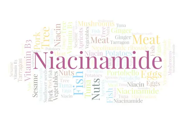 Niacynamid jak stosować? W chmurze słów znajdziesz informacje o niacynamidzie, witaminie B3, rybach, mięsie, warzywach i innych produktach.