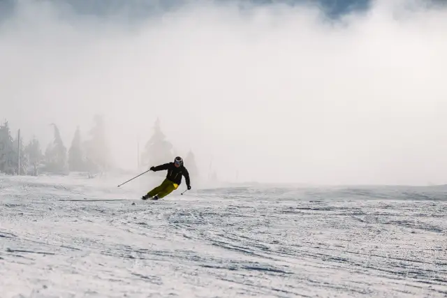 Narciarz w żółtych spodniach i czarnej kurtce zjeżdża po ośnieżonym stoku, otoczony mgłą i drzewami.