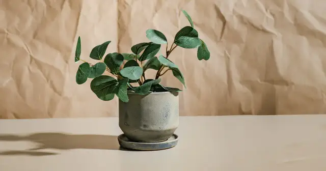 Jak dobrać wielkość osłonki do doniczki, aby uniknąć problemów z roślinami