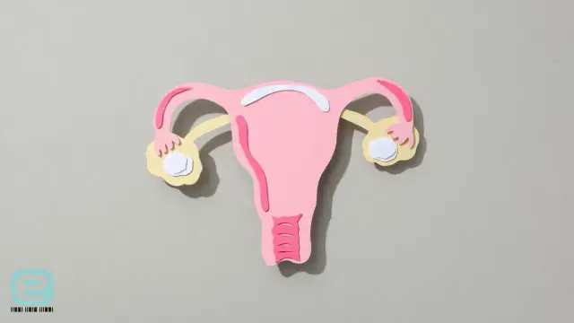 Jak bezpiecznie wywołać spóźniającą się miesiączkę? Fakty i mity.