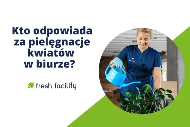 Mycie okien: Czy to obowiązek sprzątającej? Prawo, BHP, umowa