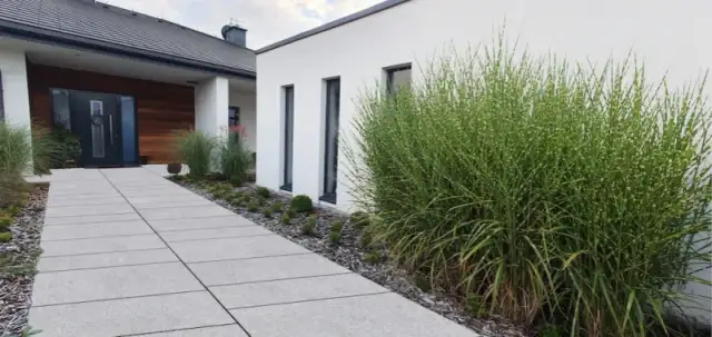 Jaką szerokość chodnika do domu wybrać, aby uniknąć problemów?