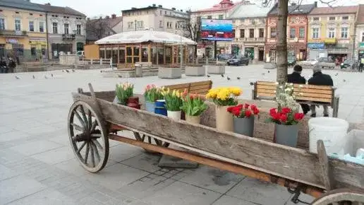 Atrakcje w Nowym Targu, które musisz zobaczyć – odkryj wyjątkowe miejsca