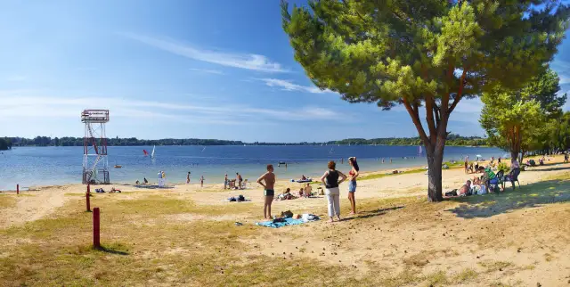 Słoneczna plaża nad jeziorem goczałkowickim. Ludzie odpoczywają, kąpią się i pływają na żaglówkach. Widoczna wieża ratownicza.