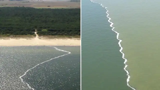 Dlaczego Bałtyk jest słony? Odkryj zaskakujące przyczyny salinity