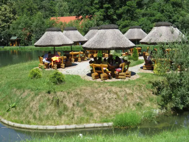 Łowisko Pokrzywna: idealne miejsce na rodzinną przygodę z wędkowaniem