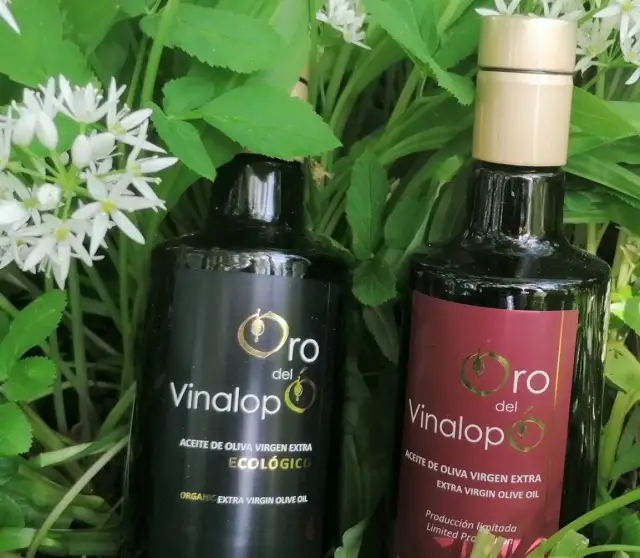 Czy oliwa z oliwek tuczy? Poznaj prawdę o jej wpływie na wagę