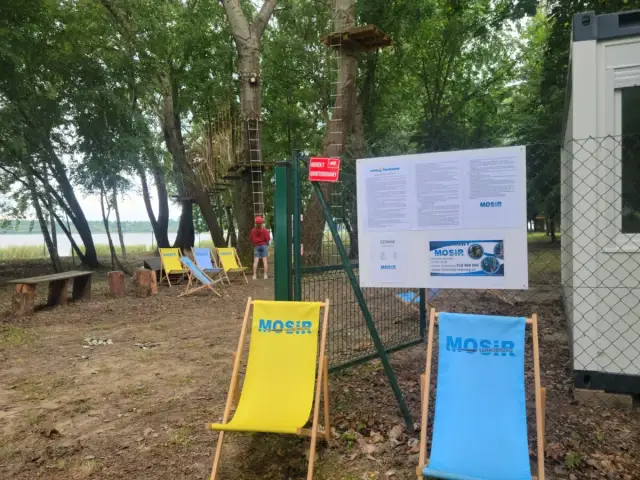 Park Linowy Tarnobrzeg: Twój przewodnik trasy, ceny, godziny