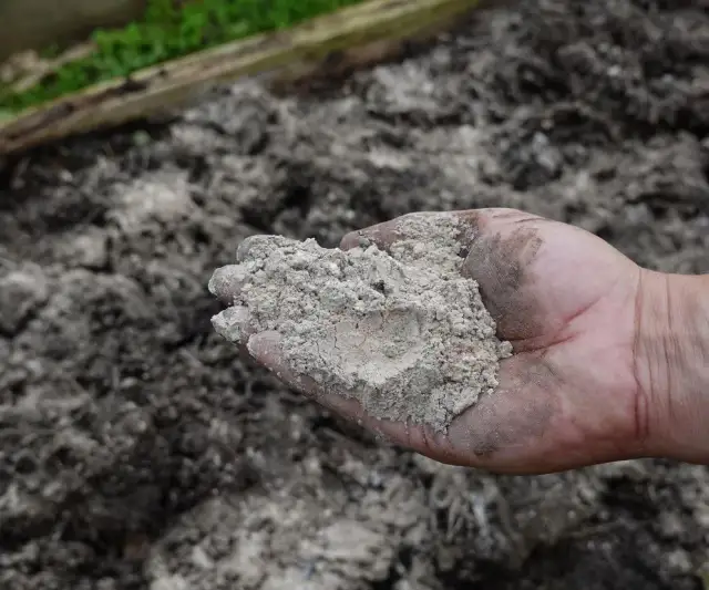 Popiół z węgla w ogrodzie: Czy nawozić? Ekspert ostrzega!