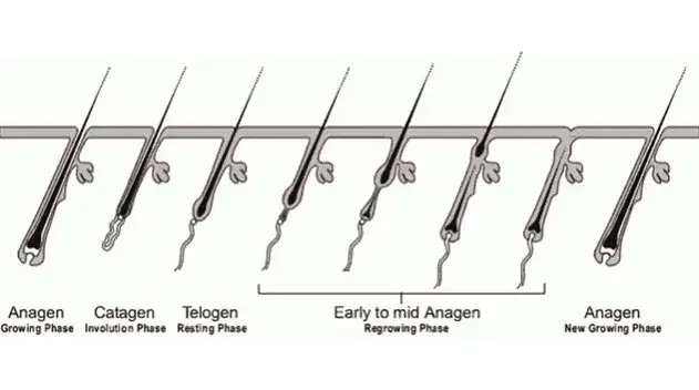 Jak długo odrastają rzęsy po przedłużaniu? Odkryj ważne fakty