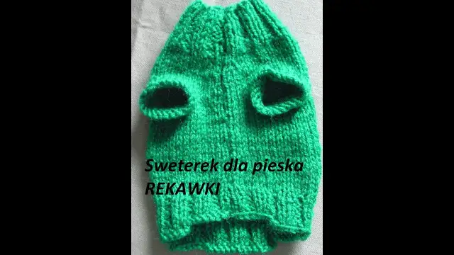 Jak zrobić ubranko dla psa na drutach - proste kroki dla każdego