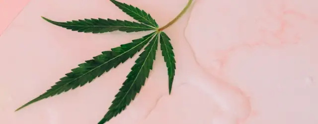 Balsam z konopi na co pomaga: 7 zaskakujących korzyści dla zdrowia