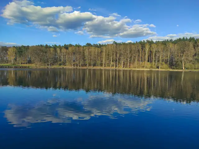 Najlepsze łowiska na stawach: gdzie złowić ryby i jak się przygotować