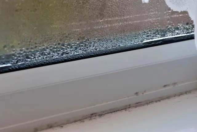 Dlaczego mam zaparowane okna w domu? Oto przyczyny i rozwiązania