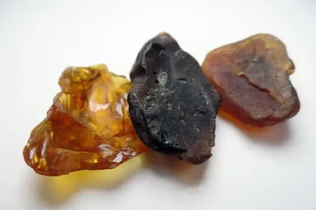 Jak wygląda bursztyn z morza? Odkryj jego naturalne cechy i kolory