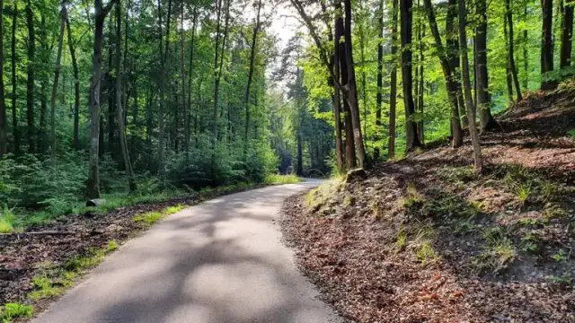Najlepsze trasy rowerowe w Gdańsku: odkryj ukryte skarby miasta