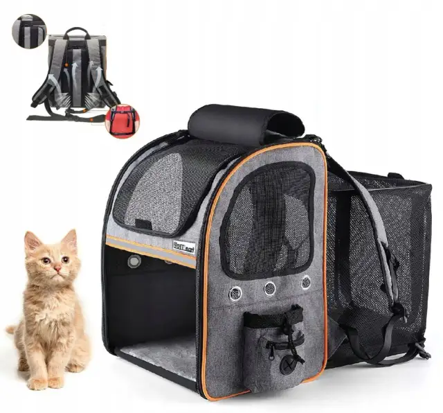 Plecak dla kota: Jak wybrać bezpieczny i wygodny transporter?