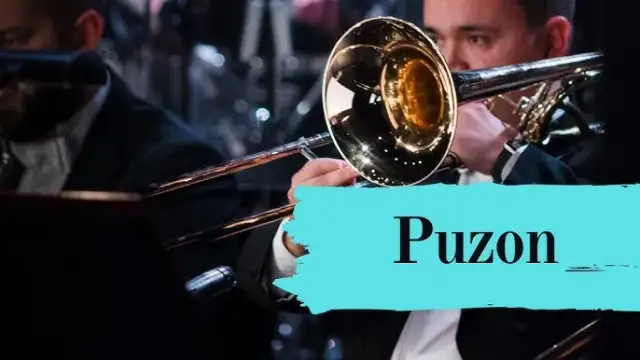 Jak wygląda puzon? Odkryj jego niezwykły design i cechy