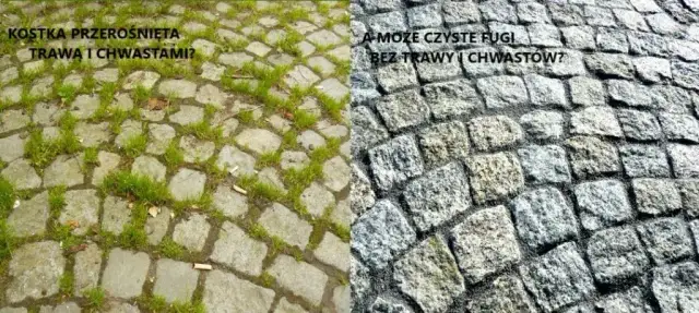 Skuteczne metody na usunięcie zielonego nalotu z kostki brukowej