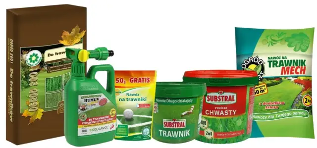 Nawóz antymech kiedy stosować, aby skutecznie zwalczyć mech w trawniku