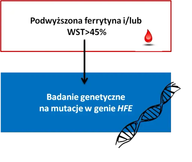 Podwyższona ferrytyna: przyczyny, objawy i co dalej?