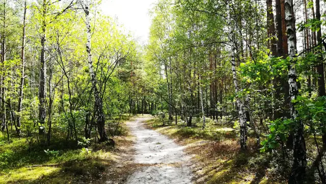 Najlepsze atrakcje w Legionowie, które musisz zobaczyć na weekend