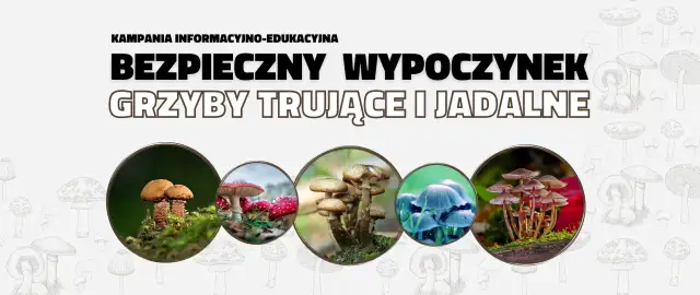 Grzybobranie: Bezpieczny poradnik survivalowy. Jadalne czy trujące?
