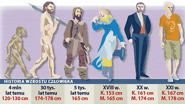 Ile wzrostu mieli ludzie w średniowieczu? Zaskakujące fakty o wysokości