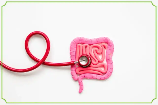 Skręt jelit: Objawy zagrożenia życia. Jak rozpoznać i co robić?