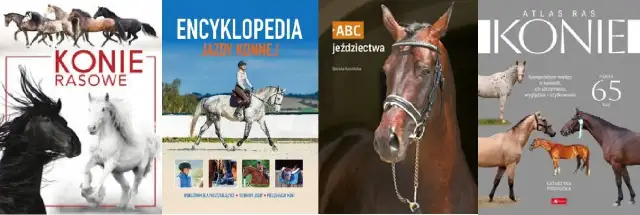 Atlas jeździectwa – odkryj pasję do jeździectwa i niezbędne informacje