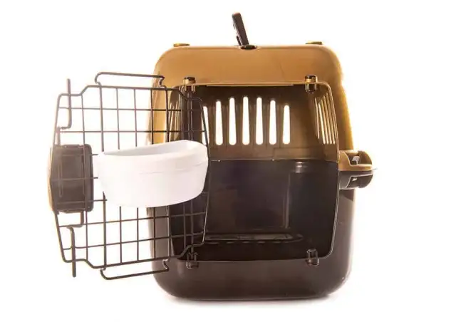 Najlepsze transportery dla border collie – jak wybrać idealny model?