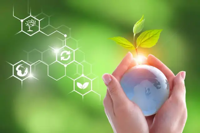 Praca po ochronie środowiska: Jak znaleźć i ile zarobisz?