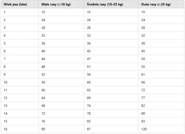 Wiek szczeniaka: jak go ocenić? Zęby, rozwój, zachowanie