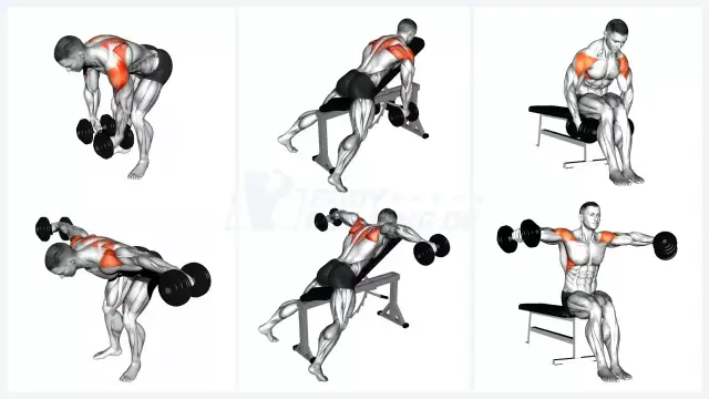 Schultertraining mit Hanteln: Effektive Übungen für Muskelwachstum