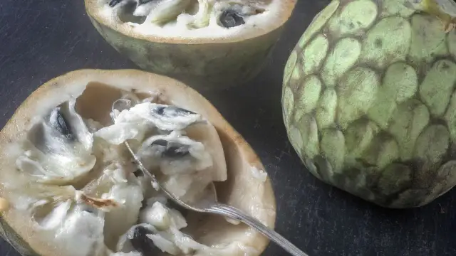 Dwa przekrojone owoce cherimoya, jeden z widelcem, ukazują kremowy miąższ i czarne pestki. Ich słodki, tropikalny smak kusi.
