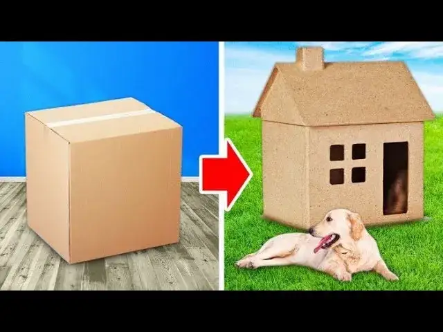 Jak zrobić budę dla psa z kartonu – proste kroki, które musisz znać