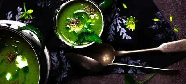 Ile kalorii ma zupa szczawiowa? Sprawdź, co wpływa na jej kaloryczność