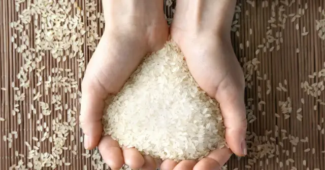Czy ryż paraboliczny jest zdrowy? Poznaj jego ukryte korzyści zdrowotne