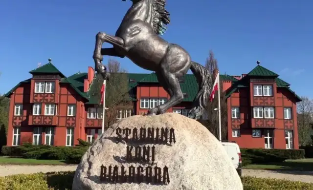 Stadnina koni Wawer: Cennik, oferta i jak wybrać idealną stajnię?