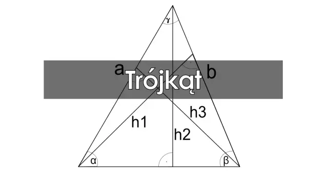 Ile wysokości ma trójkąt i dlaczego to ważne dla geometrii?