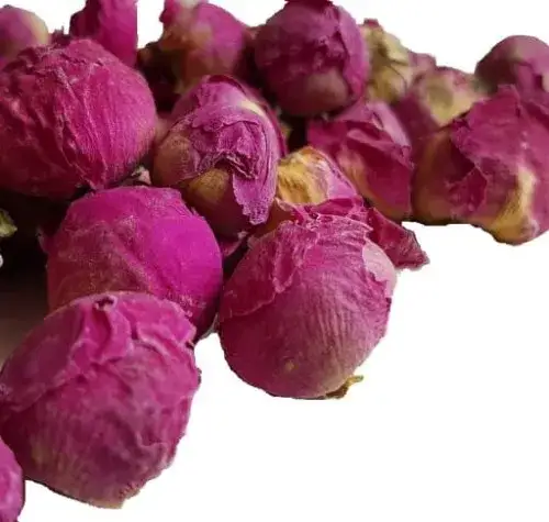 Gdzie kupić jadalne kwiaty? Odkryj najlepsze miejsca w Polsce