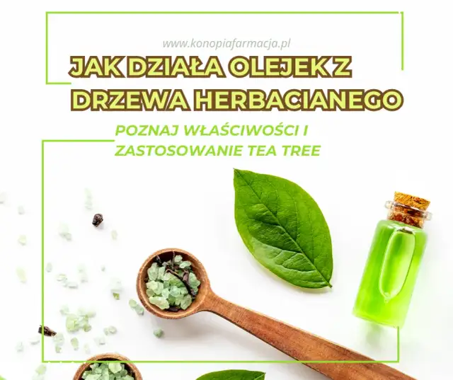 Olejek z drzewa herbacianego: Szkodliwość i bezpieczne stosowanie. Poznaj zasady.