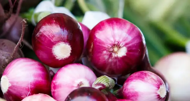 Czy cebula jest zdrowa? Naukowe fakty o właściwościach leczniczych cebuli