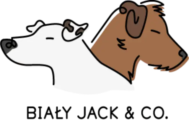 Dwa psy, biały i brązowy, patrzą w bok. Biały Jack i jego przyjaciel.