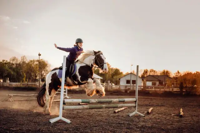 Jeździectwo naturalne Wrocław – najlepsze stajnie i programy dla koni