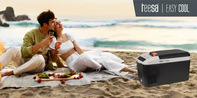 Mała lodówka na napoje: Kompresor czy termoelektryk? Wybierz mądrze!