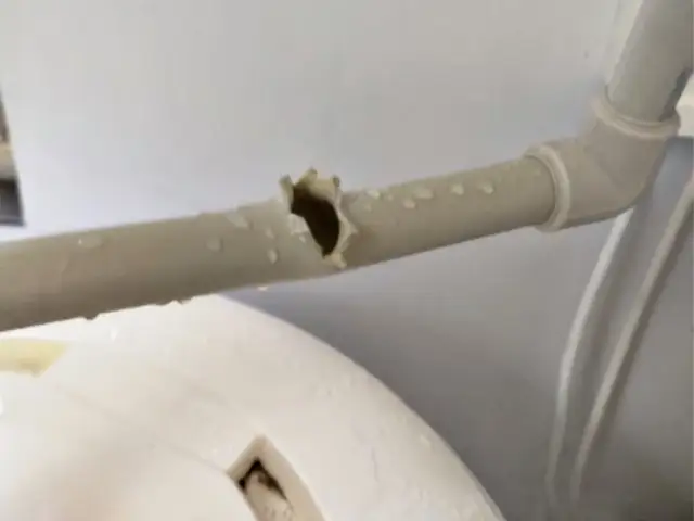 Platforma czy balon? Wybierz konstrukcję szkieletową dla siebie!