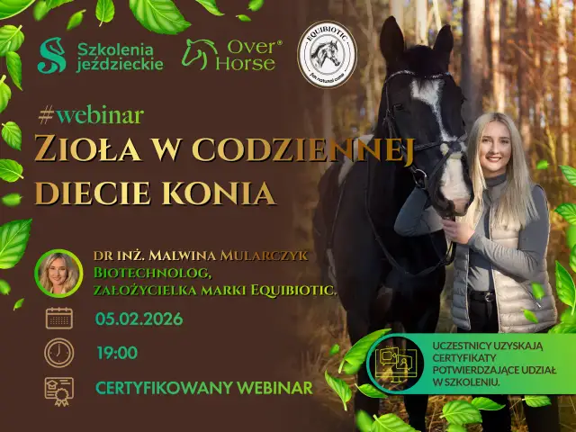 PZJ instruktor jeździectwa: Kompletny przewodnik po kursie