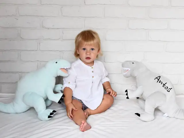 Małe dziecko siedzi między dwoma pluszowymi dinozaurami. Jasnoniebieski dinozaur po lewej i szary dinozaur z imieniem "Antoś" po prawej. Te przytulanki dla dzieci wyglądają na miękkie i zapraszające.