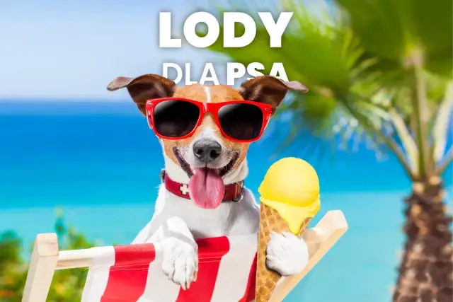 Bezpieczne lody dla psa: Przepisy, składniki i czego unikać